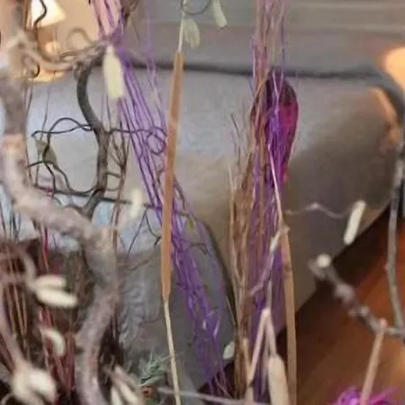 Gasthuis Vesta Domus Rome