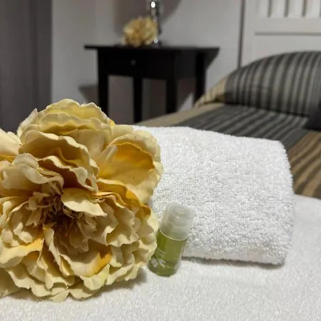 Vesta Domus Gasthuis