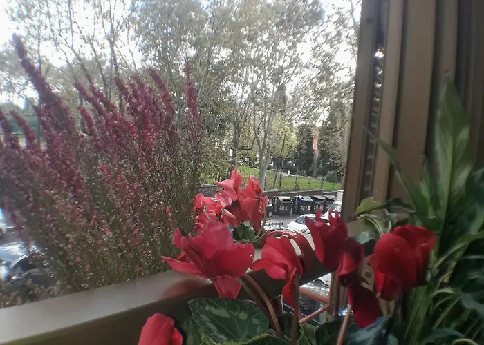 Gasthuis Vesta Domus