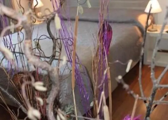 Gasthuis Vesta Domus Rome